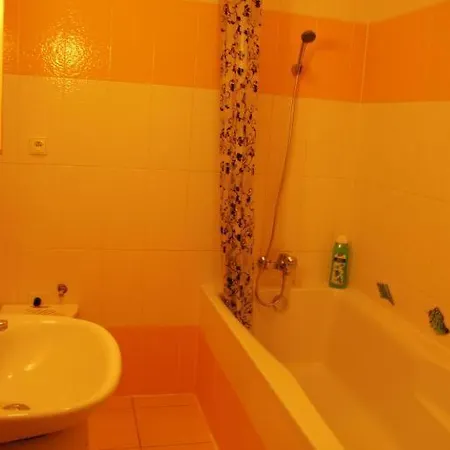 Spolkova Apartment Brno