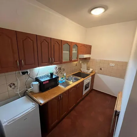 Spolkova Apartment *
