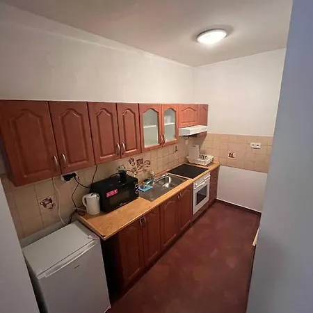 Spolkova Apartment *