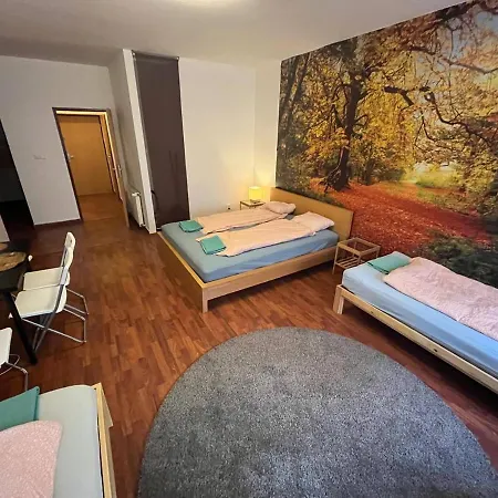 Spolkova Apartment