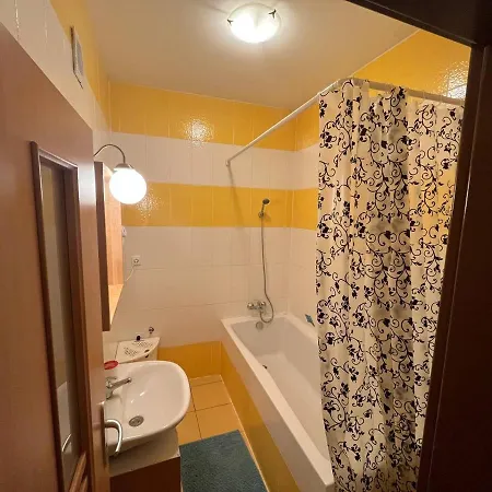 Apartment Spolkova *