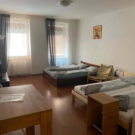 Spolkova Apartment Brno